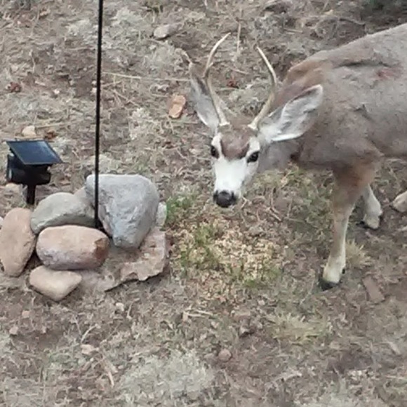 Meet your Posher, David - Picture 1 of 1